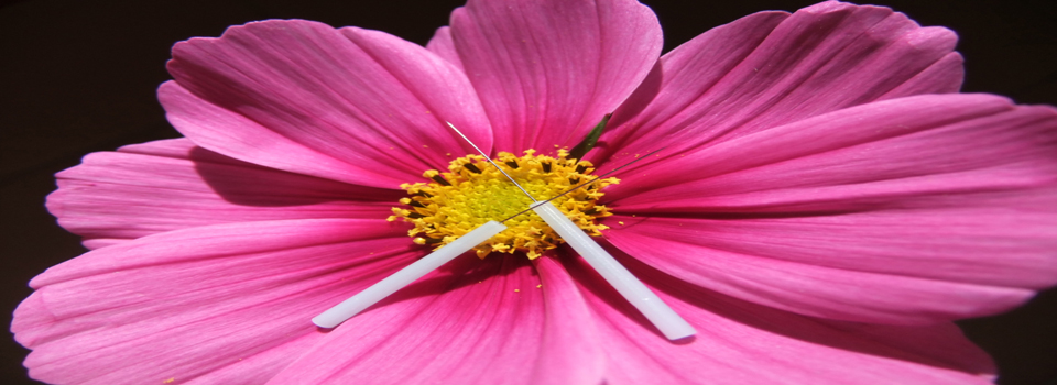 Aiguilles d'acupuncture